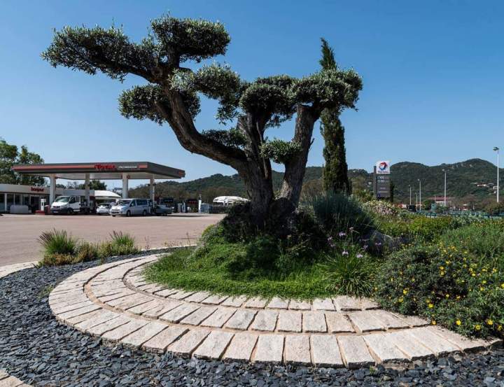 Architecte paysagiste Corse