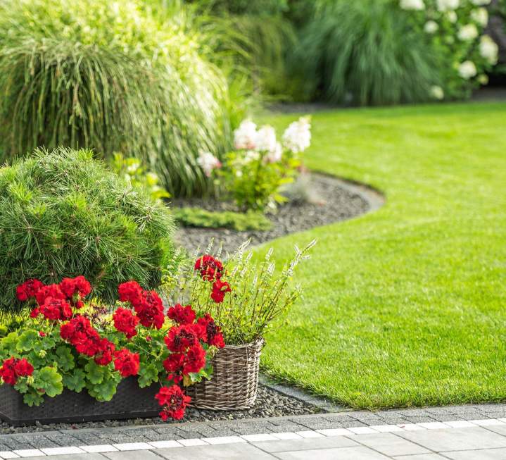Agencement harmonieux de vos espaces naturels