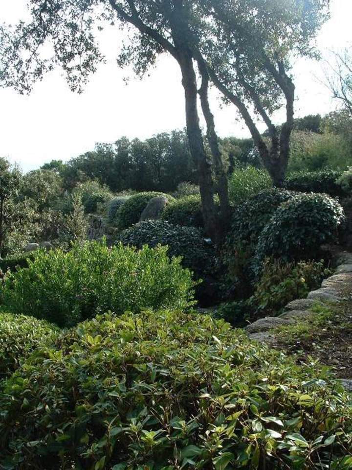 Conception de jardins Corse