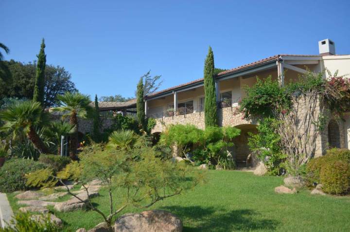 Pose de gazon pour jardin paysager 