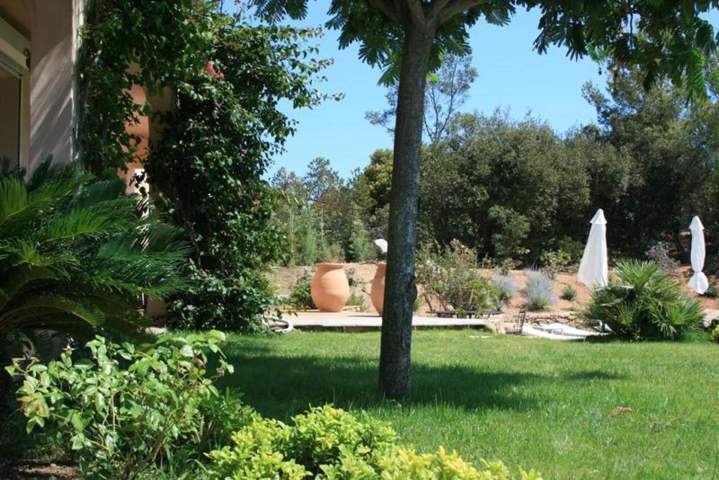 Pose de gazon pour jardin paysager